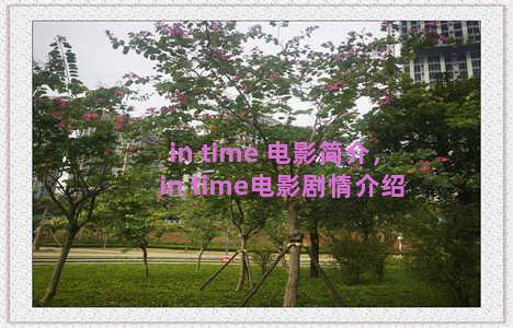 in time 电影简介，in time电影剧情介绍